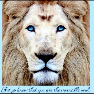 Meet your Posher, Hi I’m Greg